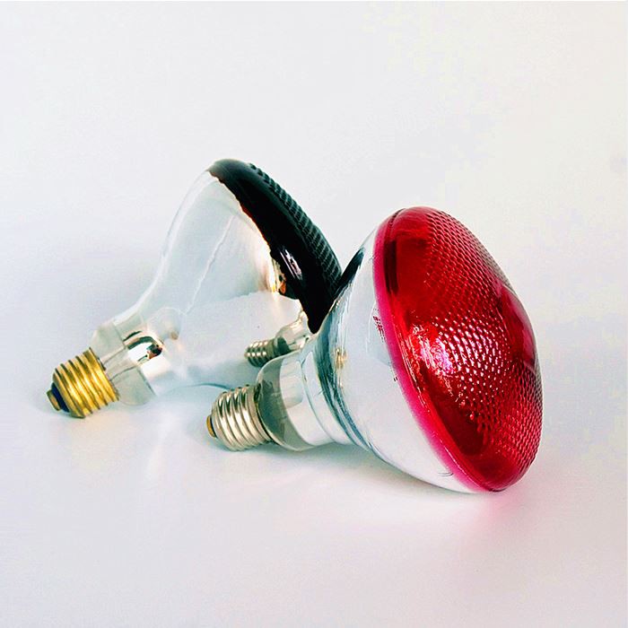details of far infrared lamp