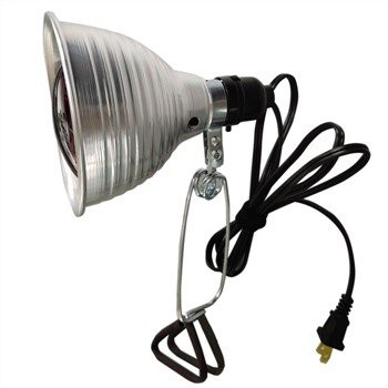 브루더 클램프 라이트